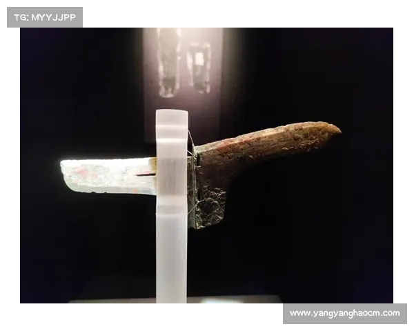 死亡之翼武器的神秘传承与毁灭之力的背后故事与传奇