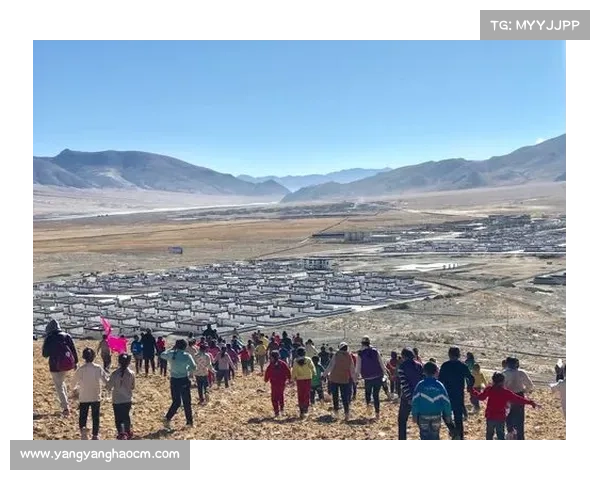 冰鳞蓝鱼保护现状分析与未来保护措施的展望