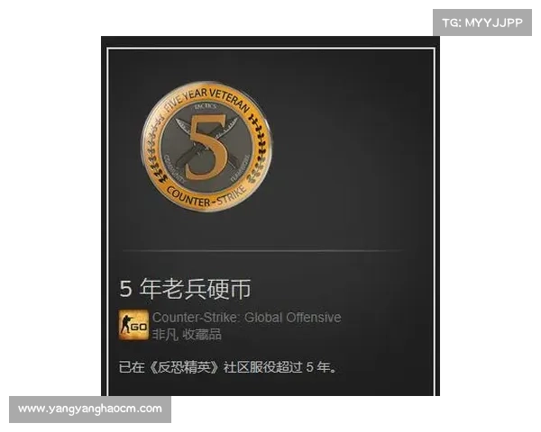 青春燃动迎接挑战勇夺红色徽章共筑信仰荣光之路