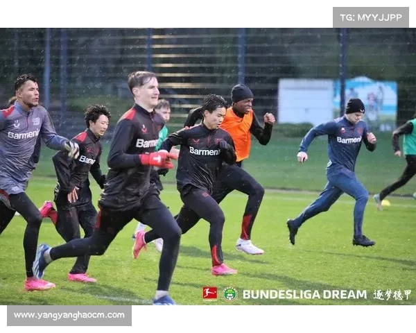 德国足球队换血策略解读：从青训到大赛如何实现新老交替