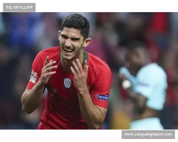 全面解析教你高效查找葡萄牙各大足球球队名称的实用方法指南