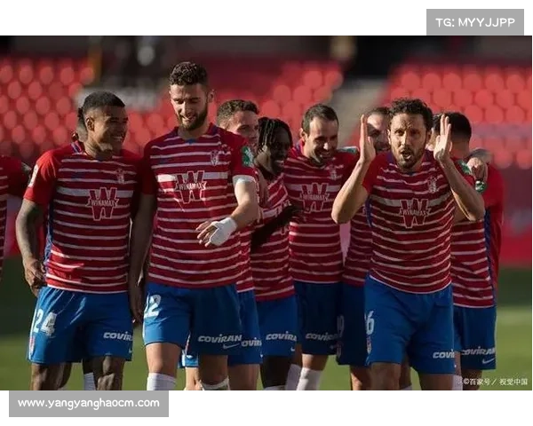 全面解读欧协联决赛规则的关键要点与观赛指南全程深度解析版