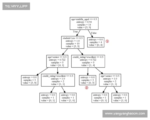 如何解读成都蓉城足球队的转会策略与报价决策分析